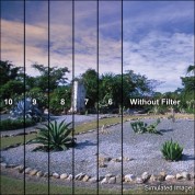 Lee Filters Blender Graduated Coral 9 Filter 100x150mm