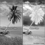 Hoya 77mm R72 Infrared Filter - Perfect For Photography