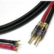 Canare 4s11 Speaker Cable 2 Banana To Spade 6'