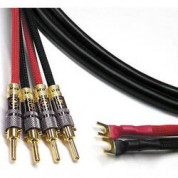 Canare 4s11 Speaker Cable 2 Spade To 4 Banana 15'