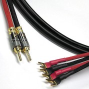 Canare 4s11 Speaker Cable 25' With 2 Banana To 4 Spade