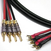 Canare 11 Awg Bi-wire Speaker Cable 20'