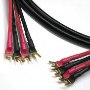 Canare 4s11 Speaker Cable 3' 4 Spade Connectors