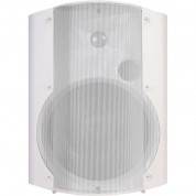 Low-voltage Amplified Surface Mount Speaker White