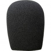 Auray Whf-2545 Foam Windscreen For 1