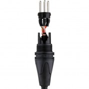 Kopul 3000 Series Neutrik Xlr Microphone Cable 3'