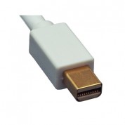 Tera Grand Mini Displayport To Hdmi Cable 10'