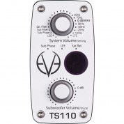 Eve Audio Ts110 10