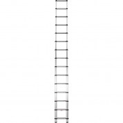 Telesteps 18 Ft Telescoping Extension Ladder