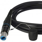 Duo Channel Ethernet Cable