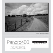 Bergger Pancro 400 B&w Film 8x10 25 Sheets