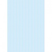 Westcott Blue Matte Vinyl Backdrop 5x7 With Grommets