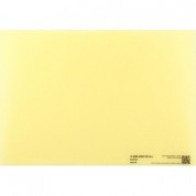 Bb&s Lighting 10,000k Phosphor Panel For Area 48 Led