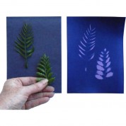 Cyanotype Paper 5x7 Purple Lilac 48 Sheets