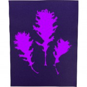 Cyanotype Paper 8x10 Purple Lilac 100 Sheets