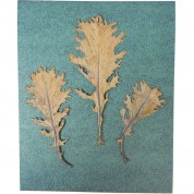 Cyanotype Paper 8x10 Baby Blue 24 Sheets