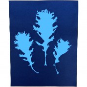 Cyanotype Paper 8x10 Baby Blue 24 Sheets