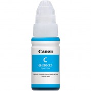 Canon Gi-290 Cyan Megatank Ink Bottle 70ml