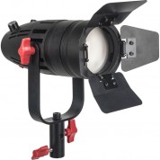 Came-tv Boltzen 30w Fresnel Led Bi-color Light With Bag