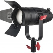 Came-tv Boltzen 30w Fresnel Led Bi-color Light With Bag