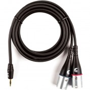 D'addario Pw-mpxlr-06 3.5mm To Dual Xlr Y-cable 6'