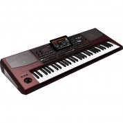 Korg Pa1000 61-key Pro Arranger With Speakers