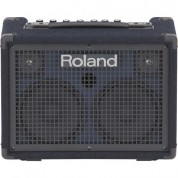 Roland Kc-220 Battery Powered Stereo Keyboard Amp