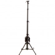 Cinegears Carbon Fiber Tripod With Gold Mount Plate