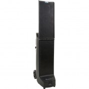 Anchor Audio Big2-u2 Portable Line Array Bluetooth Dual Mic