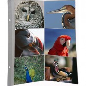 Pioneer Jpf Refill Pages For Photo Album (pack Of 5)