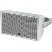 Jbl Aw295-ls 12