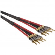 Canare 4s11 Speaker Cable 6' 4 Banana Plugs