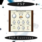 Psp Easyverb Reverb Plug-in For Audio Production Mixing