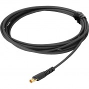 Countryman E2 Unidirectional Earset Microphone With Detachable Cable