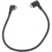 Came-tv Sony Camera Control Cable For Astral 2.4 Ghz