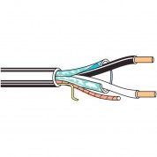 Belden 6100fe 2-conductor 14 Awg Shielded Cl2p Cable