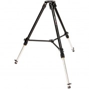 Proaim Heavy-duty Tripod With Mitchell Base