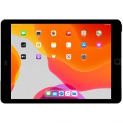 Belkin Trueprivacy Screen Protector For Ipad Air 3