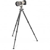 Gitzo Systematic Series 4 Carbon Fiber Tripod With Arca Ball Head