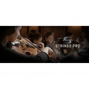 Vienna Symphonic Library Synchron Strings Bundle Download