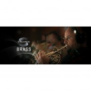 Vienna Symphonic Library Synchron Brass Full Download