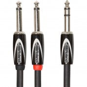 Roland Black Series Trs To Dual Ts Cable 5'