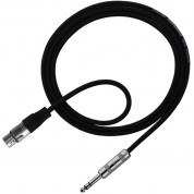 Pro Co Sound 3' Stereo Phone To Xlr Cable