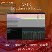 Nugen Audio Amb Loudness Module - Batch-processing Software