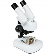 Celestron S20a Angled Stereo Microscope