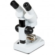 Celestron S20a Angled Stereo Microscope