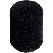 Neumann Ws 110 Foam Windscreen For Mcm Microphone