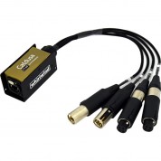 Whirlwind Catdusa Ct-mf Snake Cable