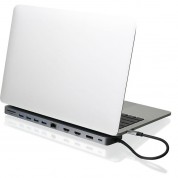 Iogear 13-port Usb-c Dock With Power Delivery 3.0