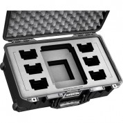 Pelican Case For Paglink Pl94 Batteries And Pl16 Charger